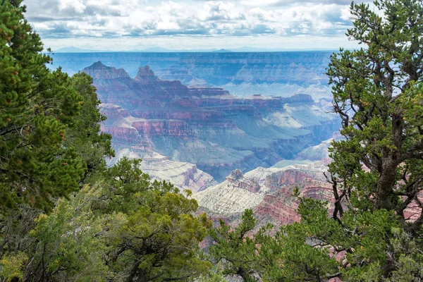 Grand Canyon umrahmt von Bäumen — Stockfoto