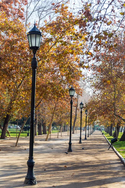 Colores para otoño en Santiago, Chile — Foto de Stock