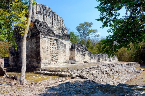 Templo en Chicanna Ruinas Mayas — Foto de Stock