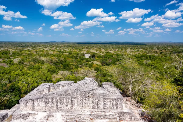 Calakmul látványát. — Stock Fotó