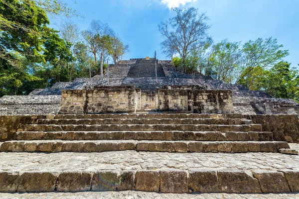 Piramida w Calakmul, Meksyk — Zdjęcie stockowe