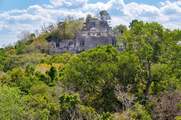 Δομή δύο Calakmul, Μεξικό — Φωτογραφία Αρχείου