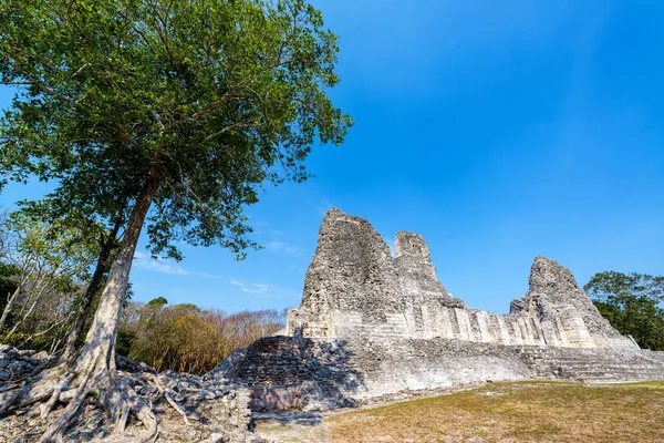 Mayan Ruins in Xpujil, Mexico — Stock Photo, Image