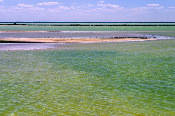 Zielony basen soli w Rio Lagartos — Zdjęcie stockowe