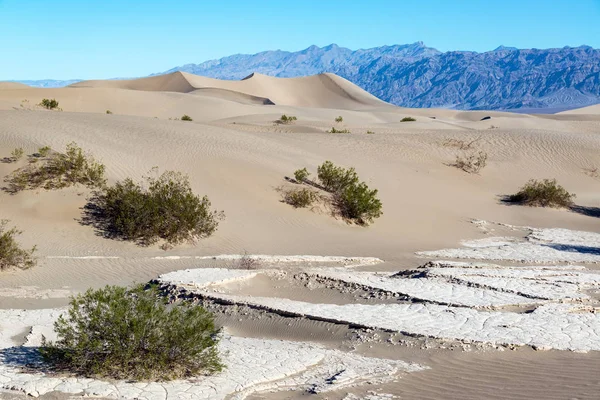 Mesquite Flat Sand Dunes Peisaj — Fotografie, imagine de stoc