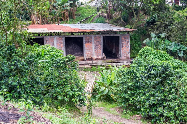 Brick Building on a Coffee Plantation — Stock Photo, Image