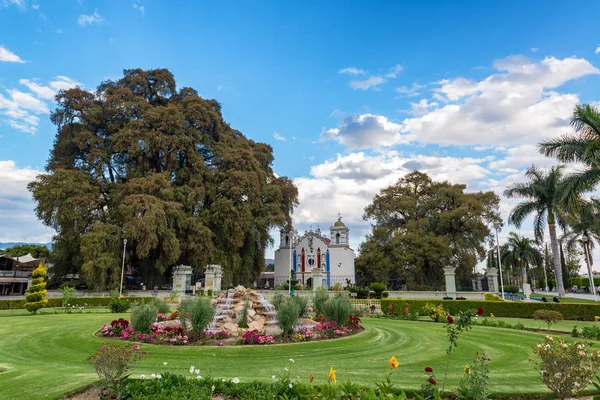 Iglesia y Árbol en Puebla, México — Foto de Stock