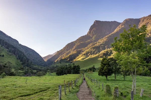 Cocora Vadisi'da yürüyüş — Stok fotoğraf