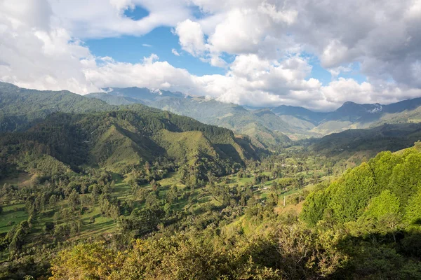 Schöne grüne Landschaft — Stockfoto