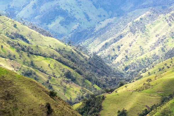 Krajobraz w pobliżu Salento, Kolumbia — Zdjęcie stockowe