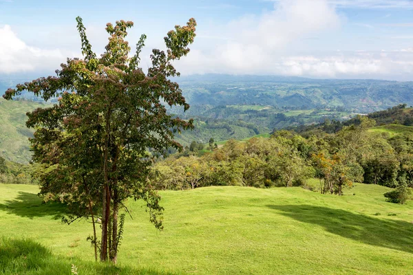 Kolumbijskie krajobrazu wiejskiego — Zdjęcie stockowe