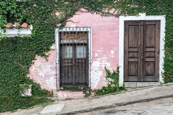 오래 된 건물과 녹색 단풍 — 스톡 사진