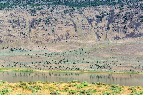 Steens Montagne Paesaggio — Foto Stock