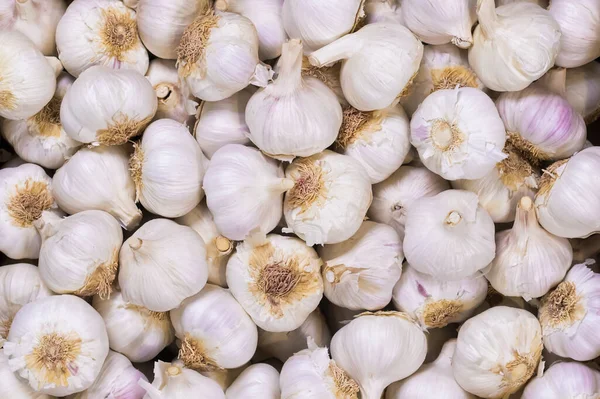 Tasty looking bunch of garlic heads together — Stok fotoğraf