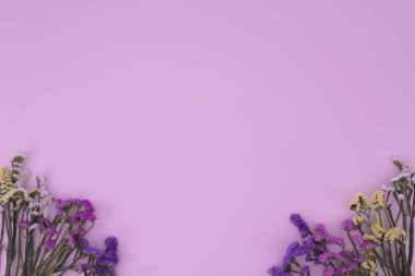 Flowers of assorted colors with an empty pink background