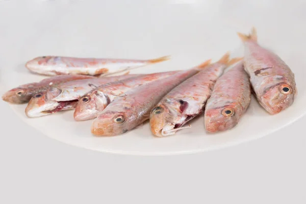 Закрыть Свежий Красный Кефаль Очистить Белом Фоне Концепция Свежей Рыбы — стоковое фото