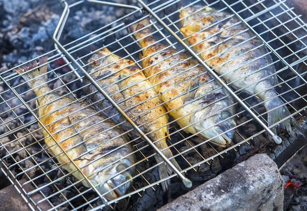 Grillen van vis met kruiden op kampvuur — Stockfoto