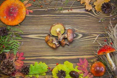 Doğal malzemeler, mantar, koniler, sonbahar yaprakları, sinek agarics, güzel çerçeve çilek. Sonbahar kahverengi ahşap arka plan.