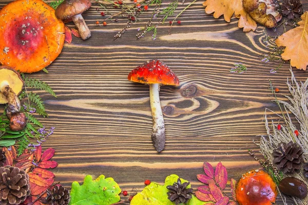 Beautiful frame of natural materials, mushrooms, cones, autumn leaves, fly agarics, berries. Autumn brown wooden background.