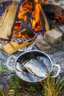 Açık havada ateş çerçevede Marine çiğ balık