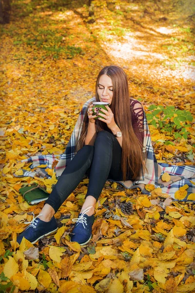 Cozy autumn model photo in yellow leaves. Girl sitting in the autumn forest, in a plaid and drinks cofee.