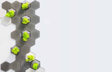 Oda, duvar, beyaz ve gri beton tuğla ve onları içinde büyüyen moss tasarım kavramı. Ekolojik ofis dekorasyon, beyaz arka plan metin için yer ile.