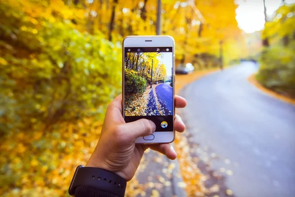 Man taking picture of yellow foliage in the forest in autumn with phone — Stock Photo, Image