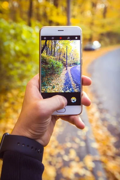 Adam alarak resmi telefon ile sonbahar ormanında sarı yapraklar