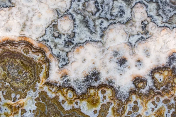 vahşi mermer, kahverengimsi beyaz taş moda doku kaplama duvarlar veya tablolar güzel zengin doku