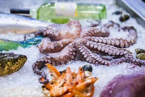 Zeevruchten op ijs op de Vismarkt, octopus, wijn, garnalen, tonijn — Stockfoto