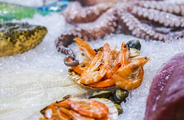 Zeevruchten op ijs op de Vismarkt, inktvis, garnalen, tonijn — Stockfoto