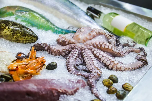 Zeevruchten op ijs op de Vismarkt, de vis, de octopus, de wijn — Stockfoto