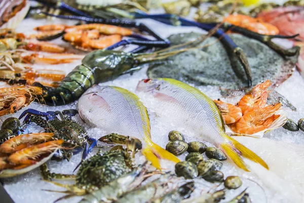 Zeevruchten op ijs op de Vismarkt, de vis, garnalen, zalm. — Stockfoto