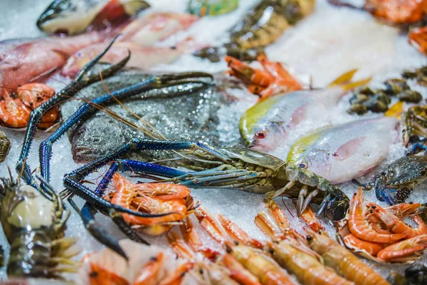 Zeevruchten op ijs op de Vismarkt, vis, krab, garnaal, kreeft — Stockfoto