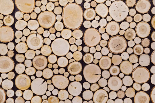Bitar av runda teak trä stubbe bakgrund — Stockfoto