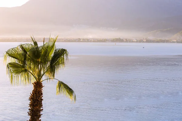 O topo da palmeira contra o mar azul com uma cordilheira no horizonte. Linda vista peru da manhã — Fotografia de Stock