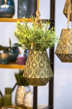 Metalik bronz saksıyı dekoratif çiçek ile asılı. Güzel saksıyı yeşil bitki ile asılı