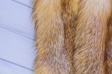 Red fox skin on a gray wooden background. Beautiful fur of a red fox clipart