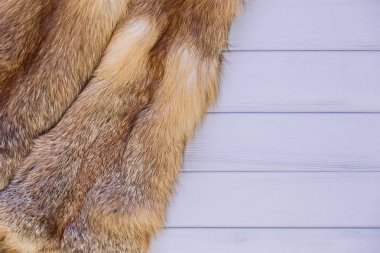 Kızıl Tilki cilt üzerinde gri bir ahşap arka plan. Red Fox güzel kürk