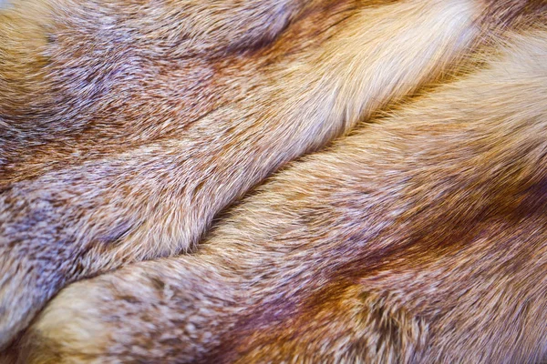 Red fox skin. Fox fur with pied beautiful hairs