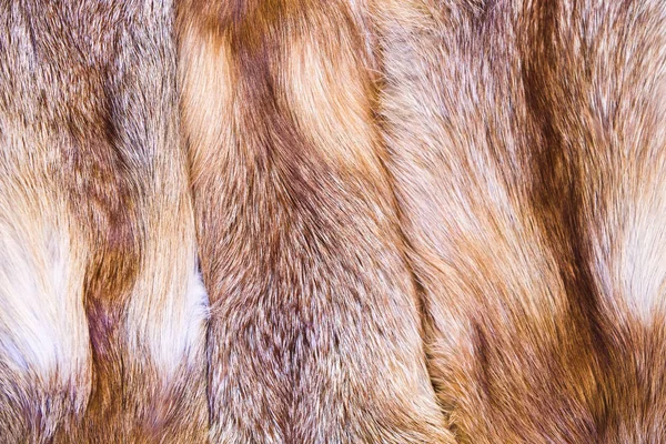 Pelle di volpe rossa. pelliccia di volpe con pied bei capelli — Foto Stock