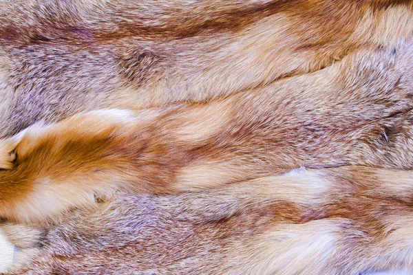 Red fox hud. Rävpäls med svartvit vackra hår — Stockfoto