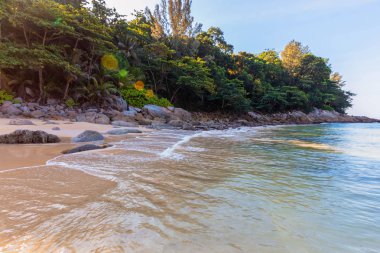 Mavi deniz ve palmiye ağaçlarıyla dolu plaj. Denizden Tayland sahiline, sahilde büyük kayalar ve temiz kum manzarası