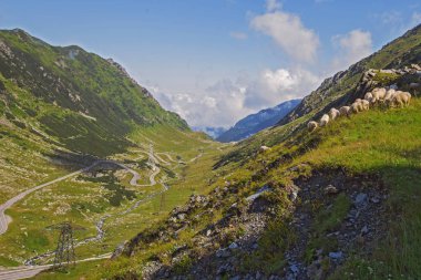 Romanya 'nın Fagaras Dağları' ndaki Transfagarasan viraj yolu, dağları geçiyor. Dönen otoyolda güzel bir manzara.