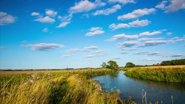 Nature landscape with a view of small river — Stock Video