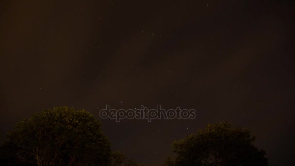 Ночное небо с большим диппером — стоковое видео