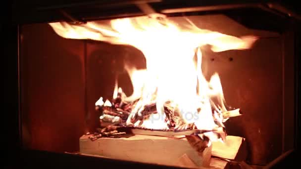 Vista de la quema de madera en la chimenea — Vídeo de stock