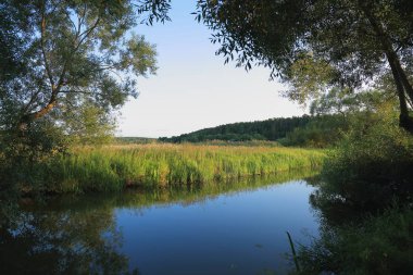 doğa manzara küçük nehir manzaralı