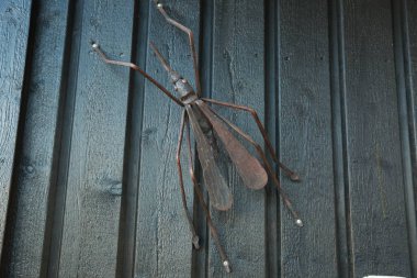 Bir duvarda büyük bir siyah sivrisinek metal şekil