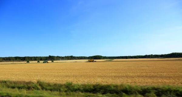 Combinare la macchina su un campo di grano — Foto Stock